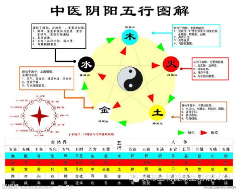 五行相生相剋關係|五行相生相剋說明